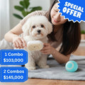Ritual Calm Pet – Dúo Interactivo