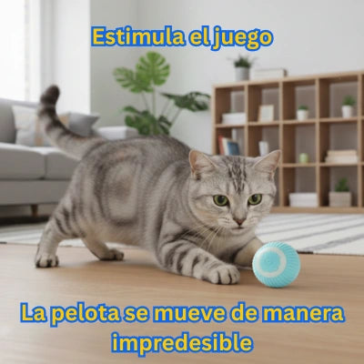 Ritual Calm Pet – Dúo Interactivo