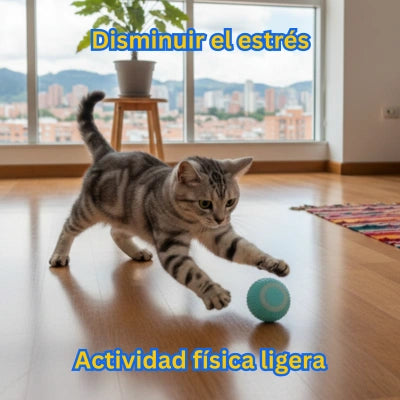 Ritual Calm Pet – Dúo Interactivo
