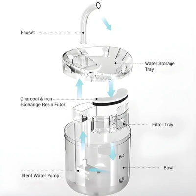 Lassos AquaZen para Gatos