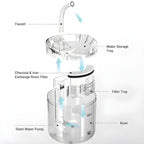 Lassos AquaZen para Gatos