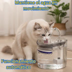 Lassos AquaZen para Gatos