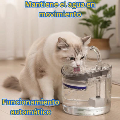 Lassos AquaZen para Gatos