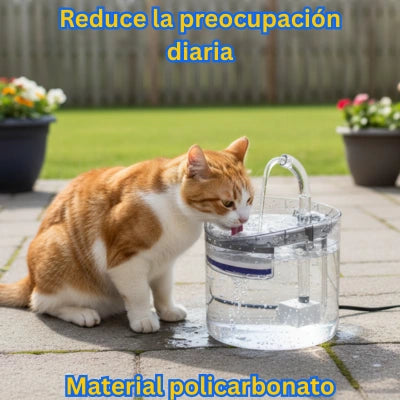 Lassos AquaZen para Gatos