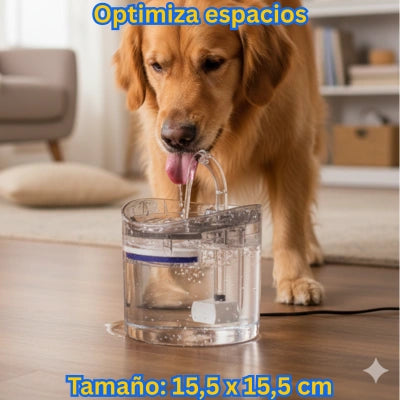 Lassos AquaZen para Gatos