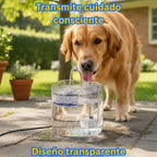 Lassos AquaZen para Gatos