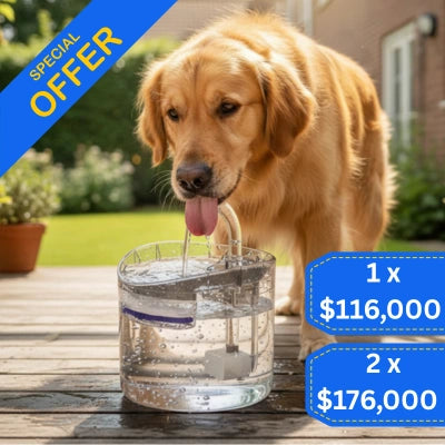 Lassos AquaZen para Gatos