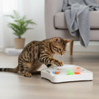 Órbita CazaPlumas Lassos