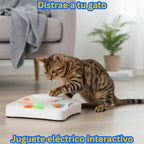 Órbita CazaPlumas Lassos