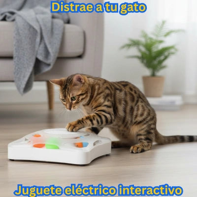 Órbita CazaPlumas Lassos