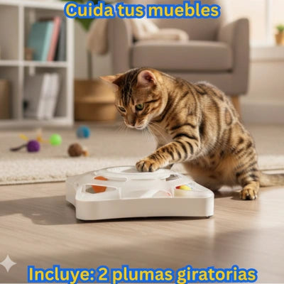 Órbita CazaPlumas Lassos