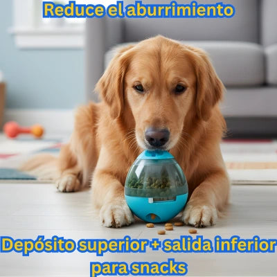 Pelota Lassos SnackFlow 360