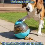 Pelota Lassos SnackFlow 360